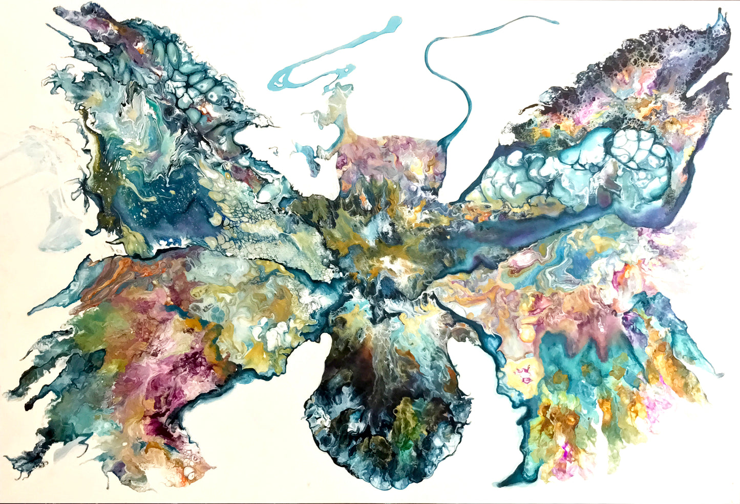 Genesis map on the butterfly wings